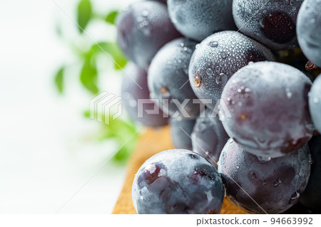 Grape (Kyoho from Yamanashi Prefecture) 94663992