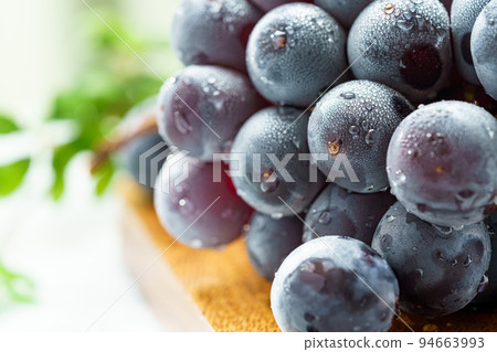 Grape (Kyoho from Yamanashi Prefecture) 94663993