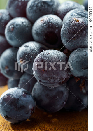 Grape (Kyoho from Yamanashi Prefecture) 94663994