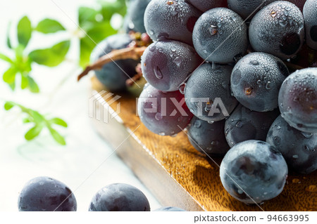 Grape (Kyoho from Yamanashi Prefecture) 94663995