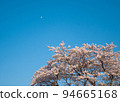 Cherry tree, blue sky and moon 94665168
