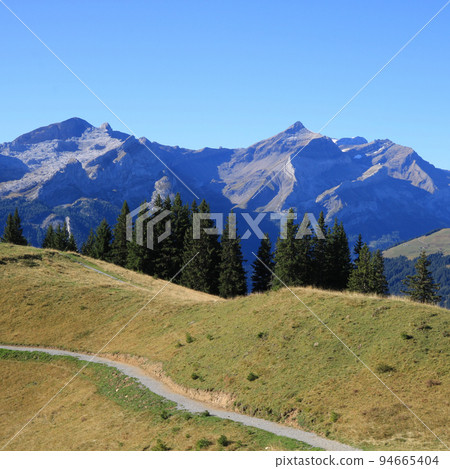 Mount Oldehore seen from Mount Wispile, Gstaad. 94665404