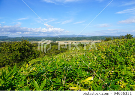 Scenery seen from Moe-no-Oka (Numata Town) 94666331