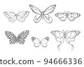 Set with butterflies, vector stylized illustrations, line drawing 94666336