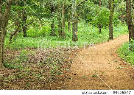 Running course maintained with wood chips Running course maintained with wood chips 94666847