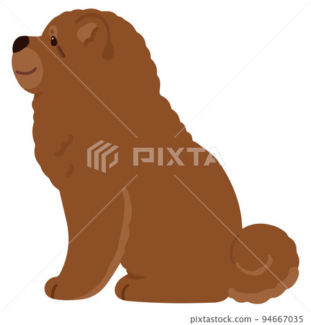 A simple and cute illustration of a chow chow sitting sideways No main line 94667035