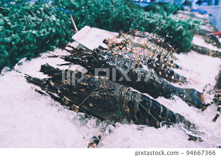 Fresh lobsters on ice 94667366