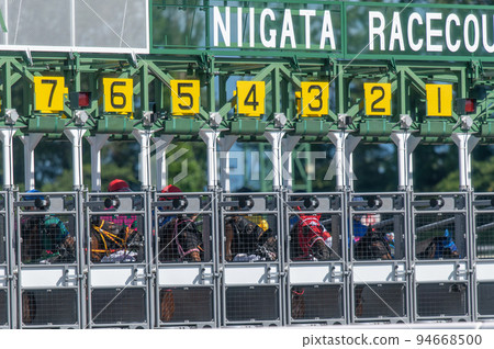 Horse race 94668500