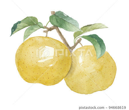 Pear leaves 94668619