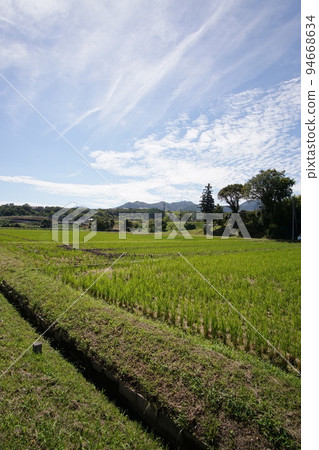 Autumn sky Road along Tamba Sasayama River Rural scenery Late September 94668634