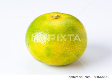 早熟橙子 94668649