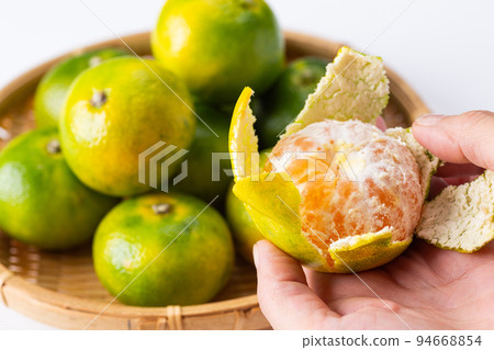 早熟橙子 早熟橙子 94668854
