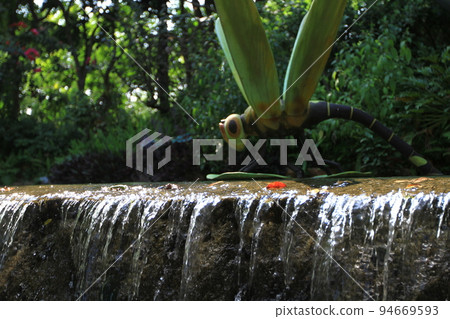 a green forest and river, the River Park a green forest and river, the River Park 94669593