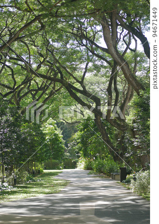 city parks with walkaway at early morning city parks with walkaway at early morning 94671449