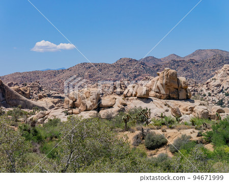 Landscape in Joshua Tree National Park Landscape in Joshua Tree National Park 94671999