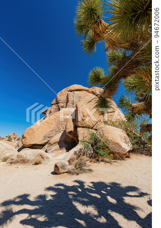 Landscape in Joshua Tree National Park Landscape in Joshua Tree National Park 94672006