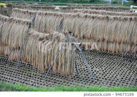 [長野縣中野市] Hazekake 94673189