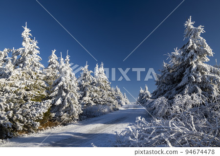 Winter landscape near Velka Destna, Orlicke mountains, Eastern Bohemia, Czech Republic 94674478