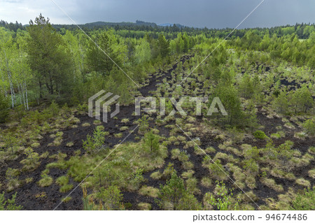 Peat bog near Soumarsky most (Soumarske raseliniste), Nation park Sumava, Czech Republic 94674486