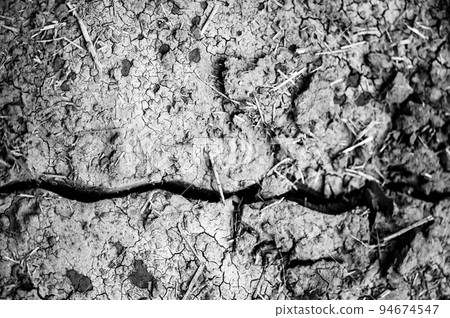 Trench in soil from knife injecting manure fertilizer in the fall.  94674547