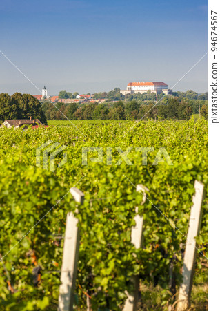vineyards and Siklos castle, Hungary 94674567