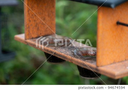 selective focus on jelly container in an oriole bird feeder. selective focus on jelly container in an oriole bird feeder. 94674594