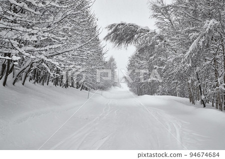 Winter Snowy Mountain Road Landscape 94674684