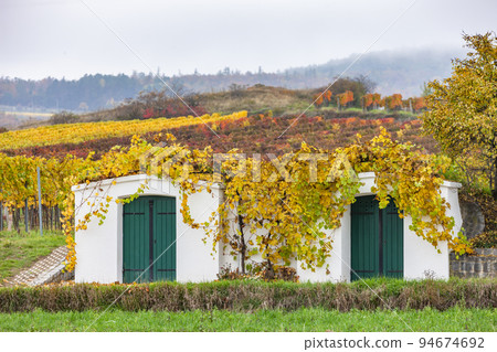 old cellars and autumn vineyards near Retz, Lower Austria, Austria 94674692