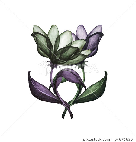 Pair of watercolor dark purple, green, pink, violet magic flowers dancing. For Halloween, wedding, birthday, Valentine's day, postcard, greeting. decoration. Elements isolated on a white background.  94675659