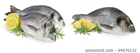 Fish dorado isolated on white background with depth of field. Fish dorado isolated on white background with depth of field. 94676132