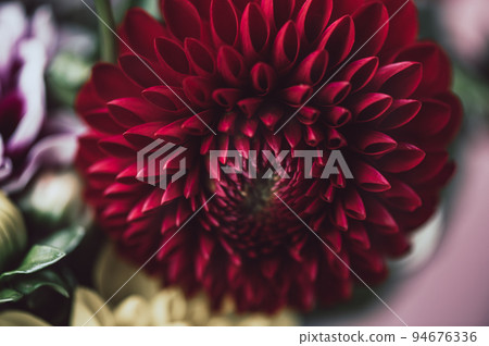 Bunch of dahlias Bunch of dahlias 94676336