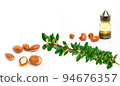Cosmetic means: authentics oriental bottles with cosmetic oil, argan nuts and green leaves of argania spinosa tree on isolated background.  94676357