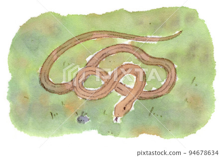 條紋蛇和頭部的右下方是洞穴。水彩插圖 條紋蛇和頭部的右下方是洞穴。水彩插圖 94678634