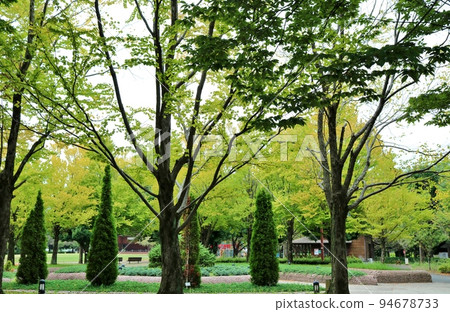 可以感受到秋天的痕蹟的公園，在宜人的微風中漫步古賀 94678733