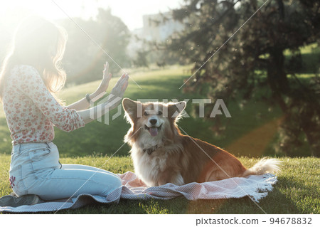 beautiful corgi dog and girl 94678832