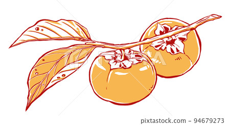 兩個柿子，枝葉用刷子畫，塗上兩種顏色 94679273