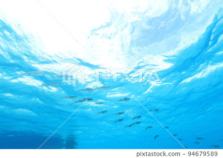 Aoriika swimming underwater 94679589