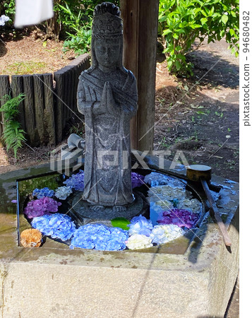 [Katori-gun, Chiba Prefecture] Hydrangea Famous Place Hydrangea Temple Nihonji Substitute Kannon 94680482