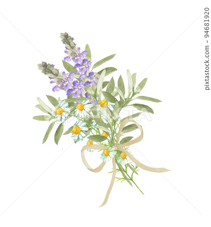 Bouquet of herbs painted by watercolor 94681920
