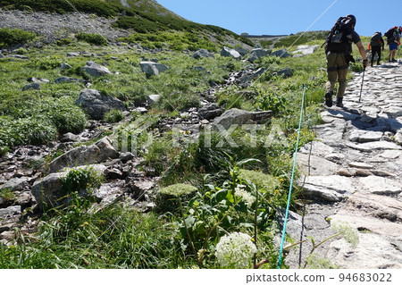 Looking towards the Ichinokoshi Pass on the mountainside of Tateyama and Oyama 94683022