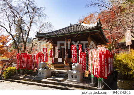 Hasedca Taikai 94684261