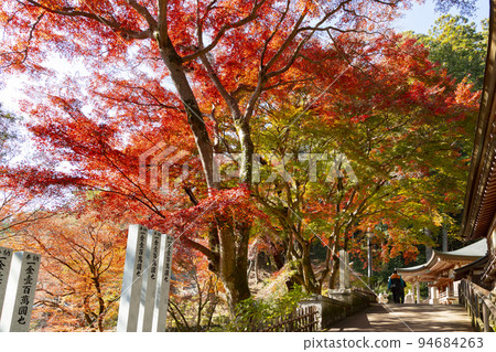 Hasedera The road leading from Daikokudo to Kobo Daishi Miedo Hasedera The road leading from Daikokudo to Kobo Daishi Miedo 94684263