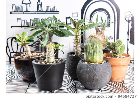 2D 背景和流行的手抄本 94684727