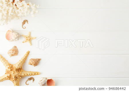 Banner with sea clams on white board. 94686442