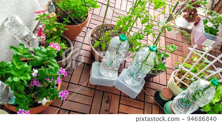 Watering device for plants while you are away Watering device for plants while you are away 94686840