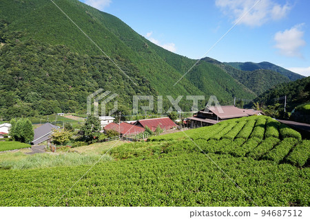 上野村和茶田（南部產茶區）[山梨縣南部町] 94687512