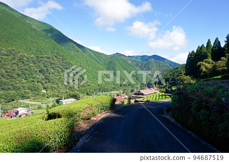 Kamisano Tea Plantation (Nanbu Tea Producing Area) and Shadow [Nanbu Town, Yamanashi Prefecture] 94687519