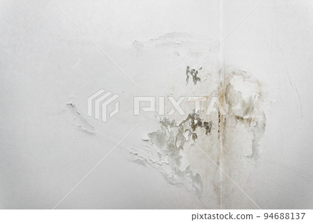 Mold fungus on ceiling 94688137