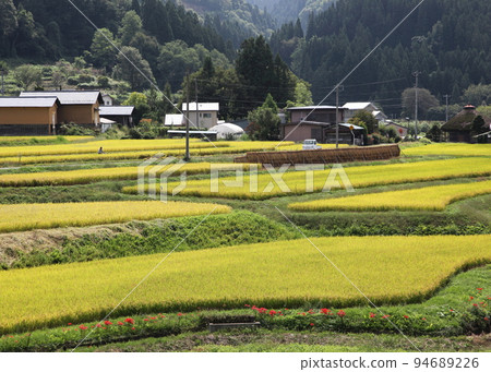 收穫季節的山區農村（山區農村） 94689226