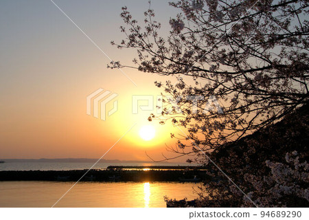 漁港櫻花與糸島夕陽美景 94689290